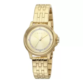 Esprit Stainless Steel Analog Women's Watch ES1L144M0085