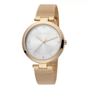 Esprit Stainless Steel Analog Women's Watch ES1L165M0075